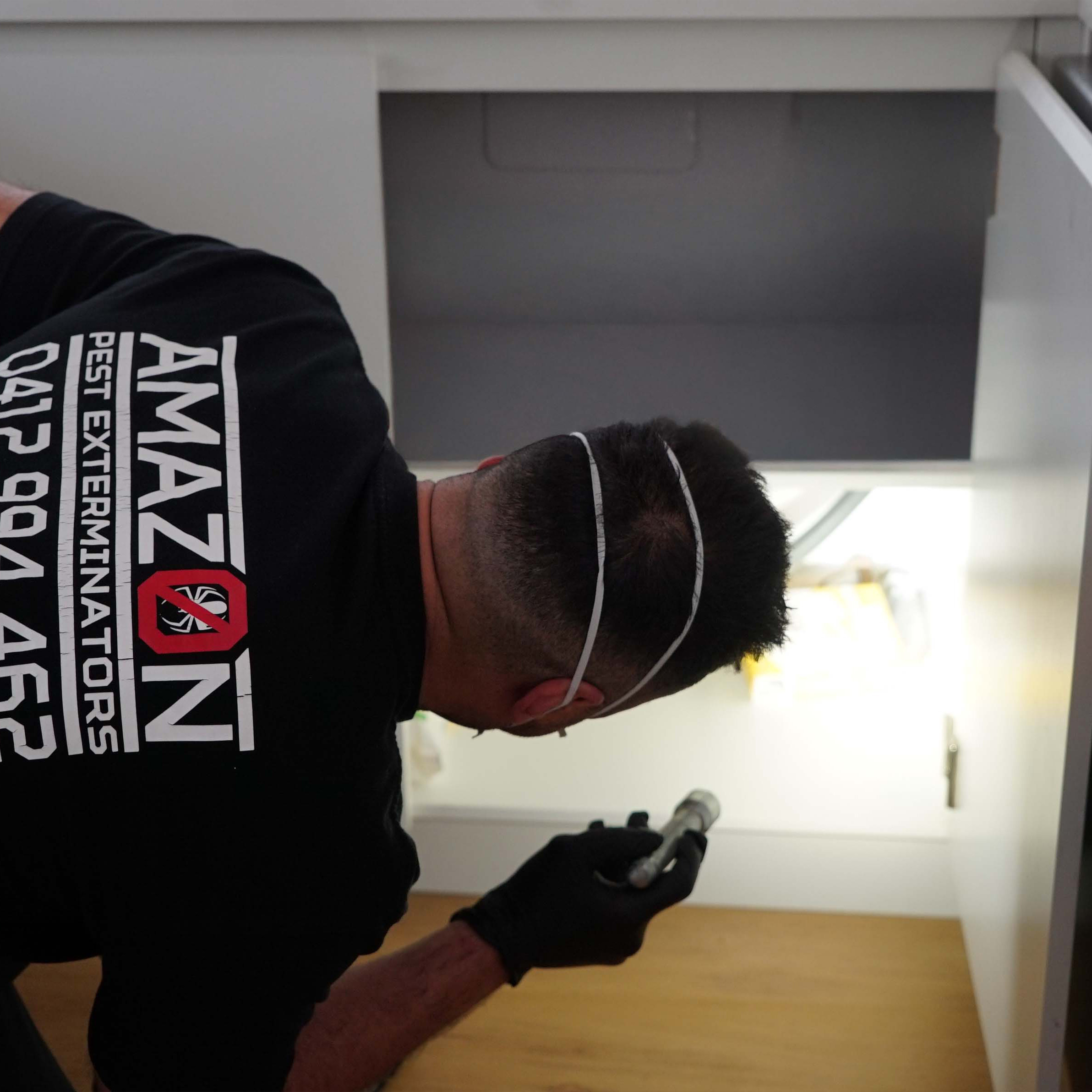 Amazon Pest Exterminators Inspection 1 – Squared