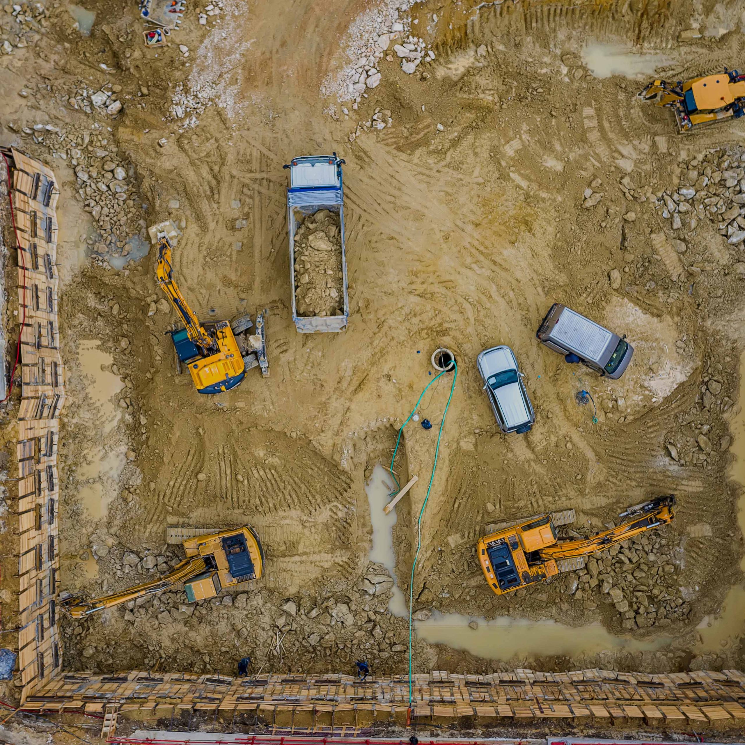 Pre-construction Amazon Pest exterminators